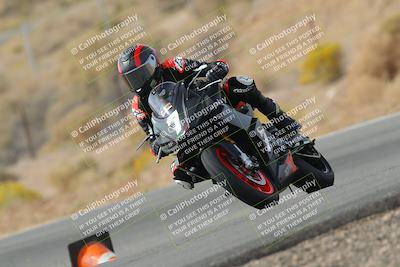 media/Nov-04-2023-2WTD (Sat) [[147bbb9217]]/C Group/1240pm (Outside Turn 2)/